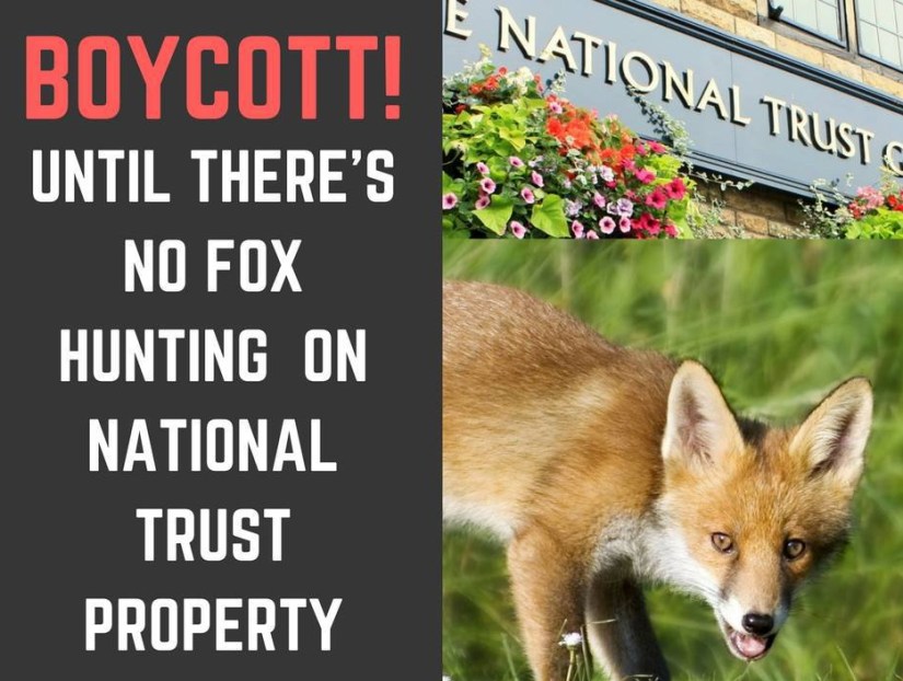 30652906_601658463548663_7227064477395451904_n