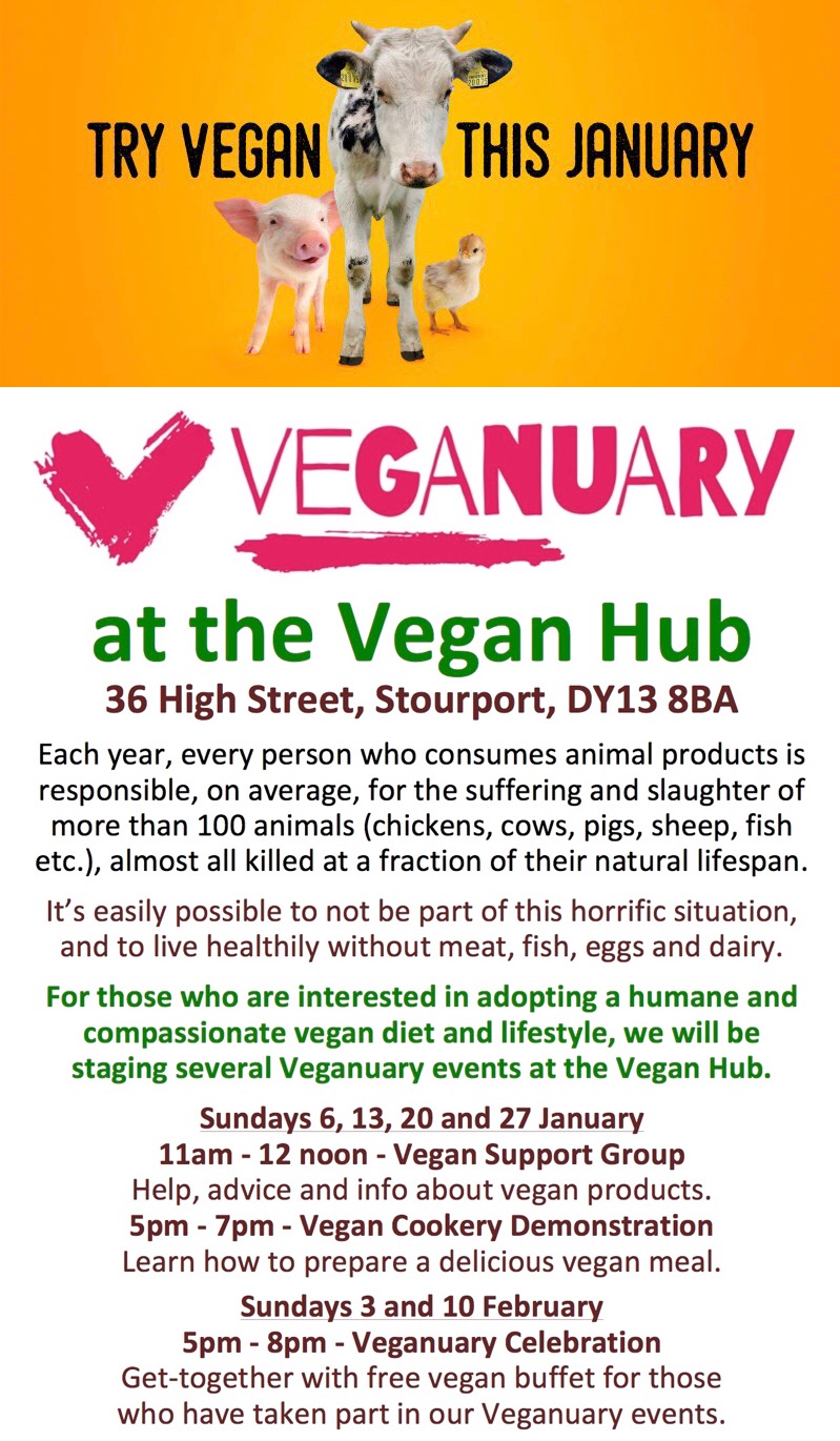 1E0A8E54-8D58-4AF1-9BB9-4560CED161B3